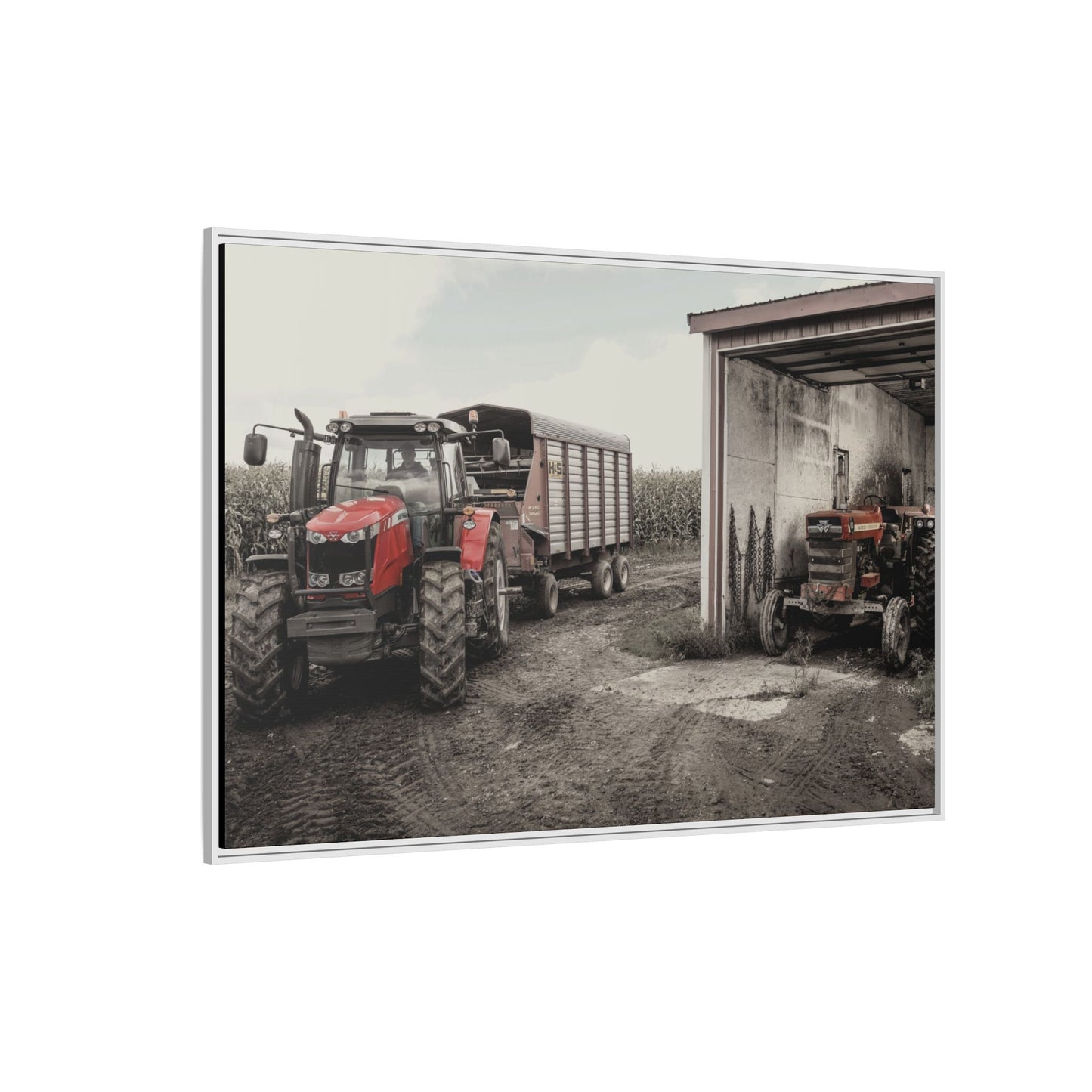 Massey Ferguson Legacy Photo Wall Art on Framed Canvas