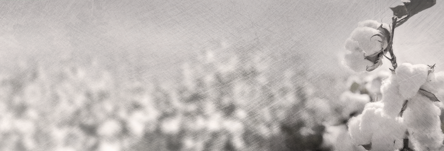 Cotton Detail
