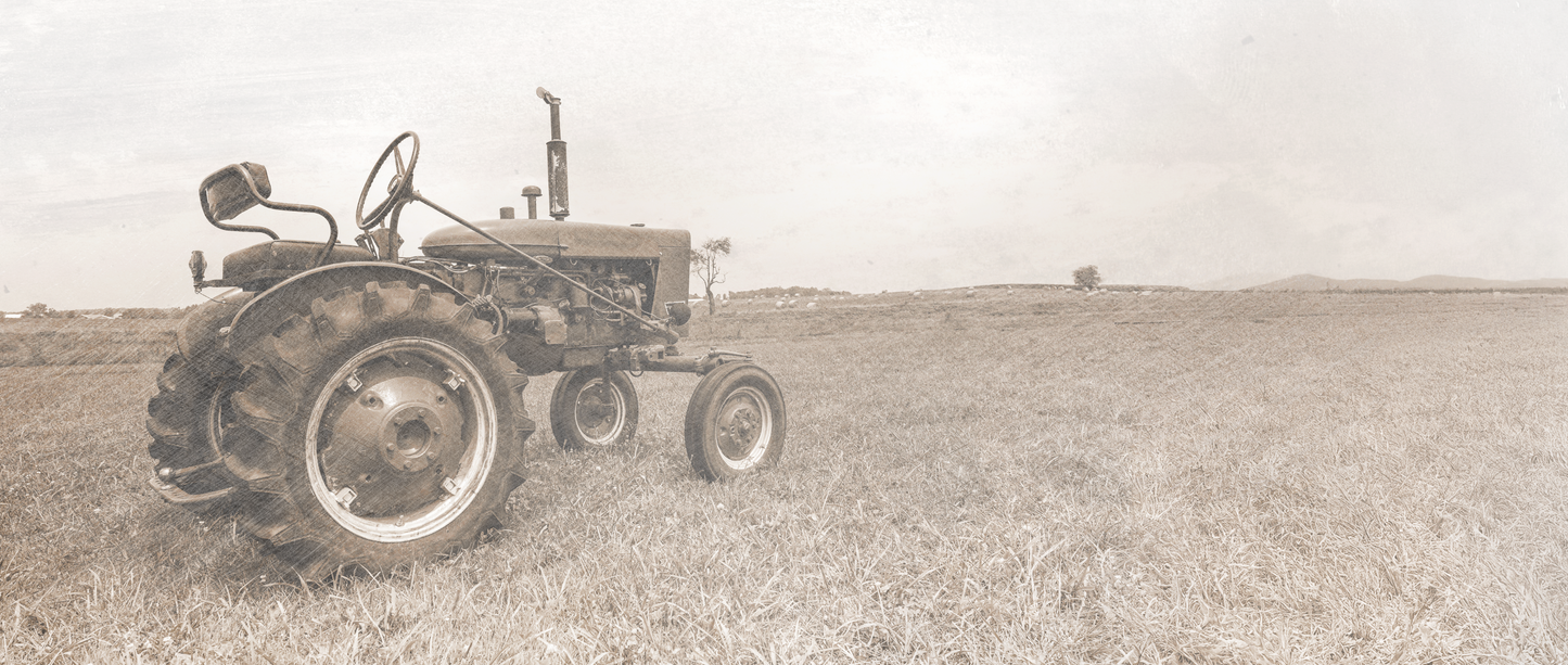 Farmall H Workhorse Tractor in Field Mural
