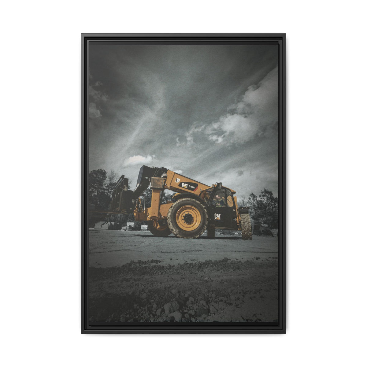 CAT TL1055D | Framed Wall Art on Stretched Canvas