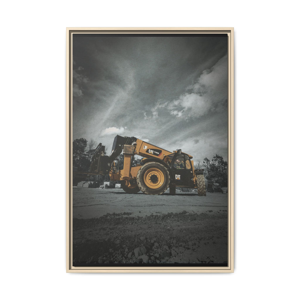 CAT TL1055D | Framed Wall Art on Stretched Canvas