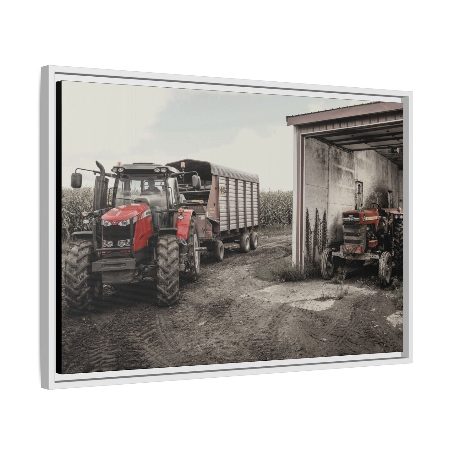 Massey Ferguson Legacy Photo Wall Art on Framed Canvas