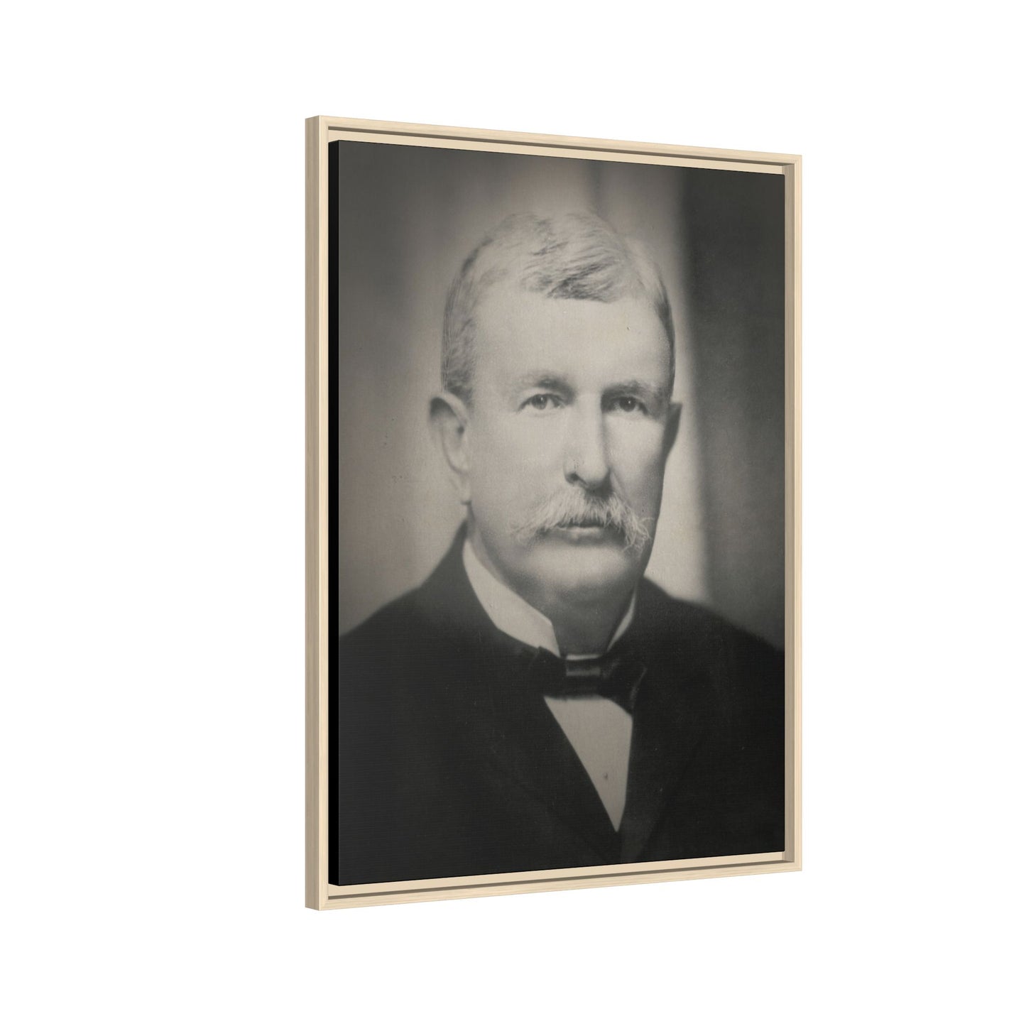 Benjamin Holt Framed Photo Art on Stretched Canvas