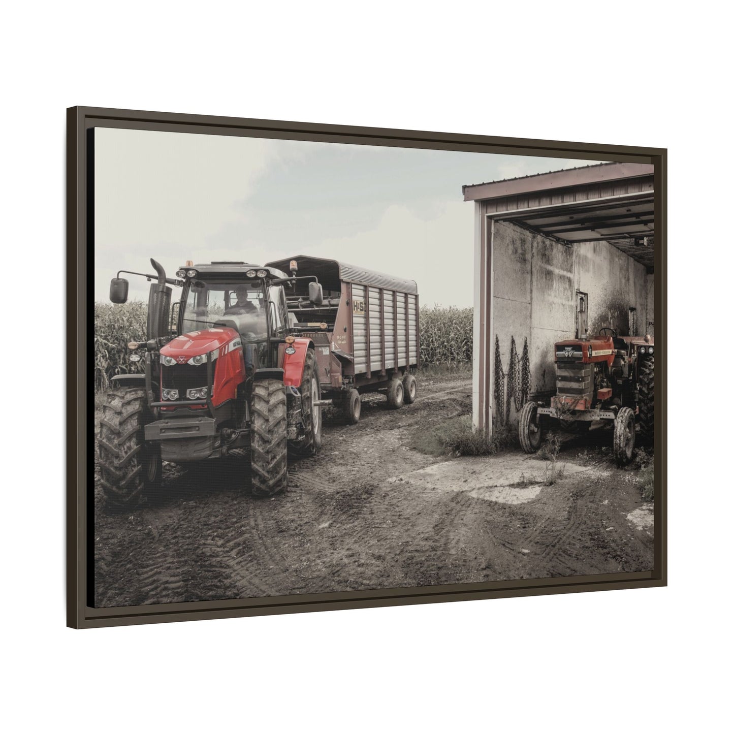 Massey Ferguson Legacy Photo Wall Art on Framed Canvas