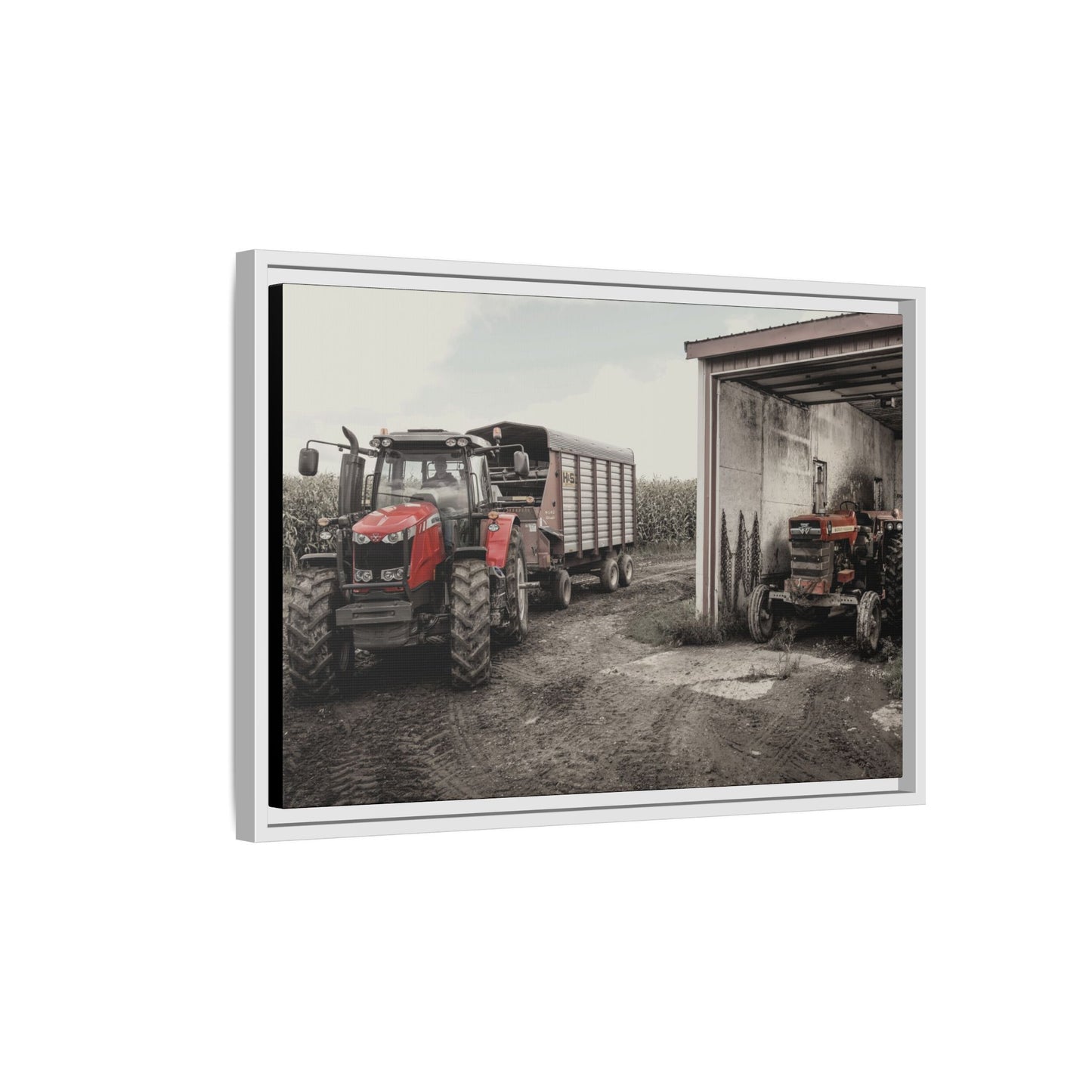 Massey Ferguson Legacy Photo Wall Art on Framed Canvas