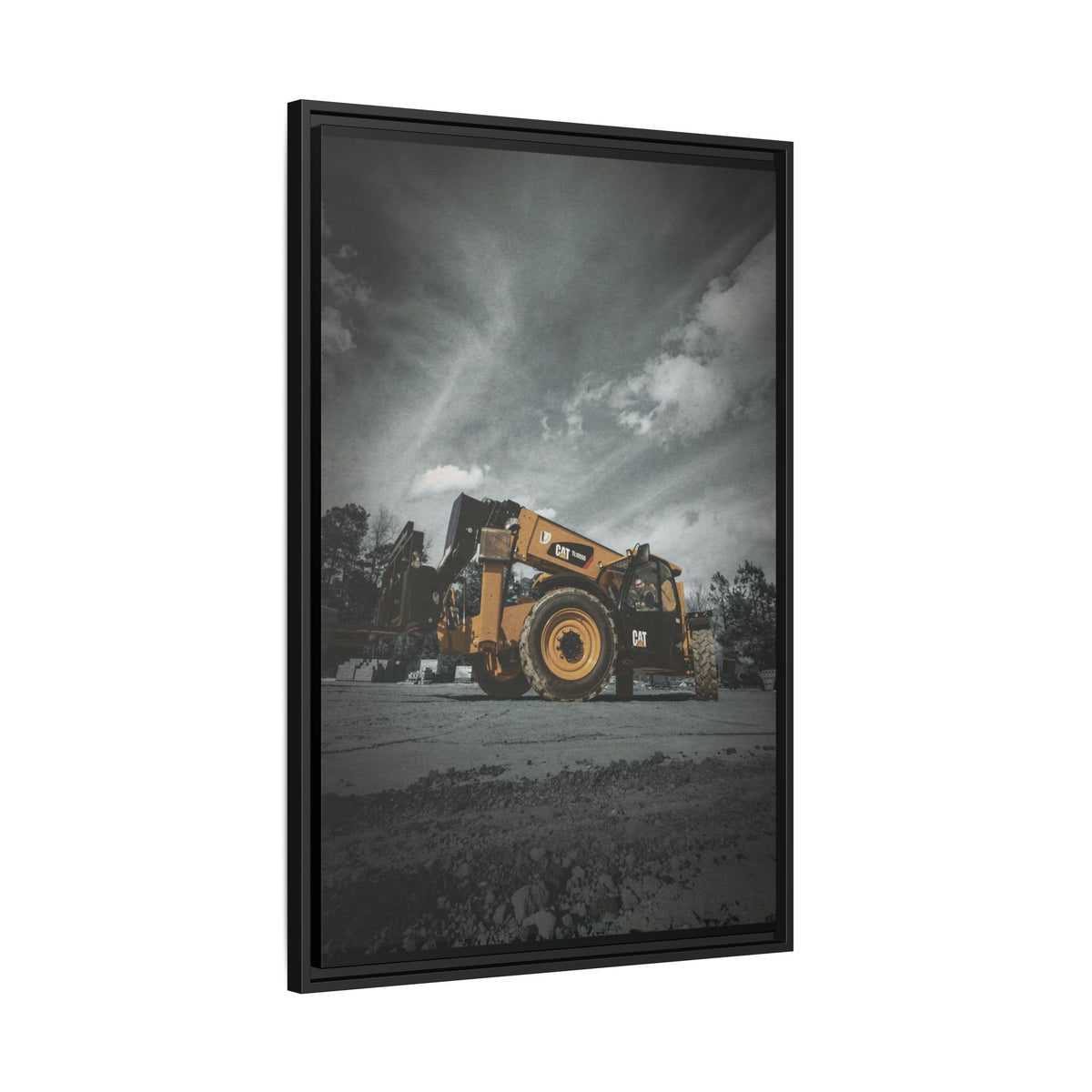 CAT TL1055D | Framed Wall Art on Stretched Canvas