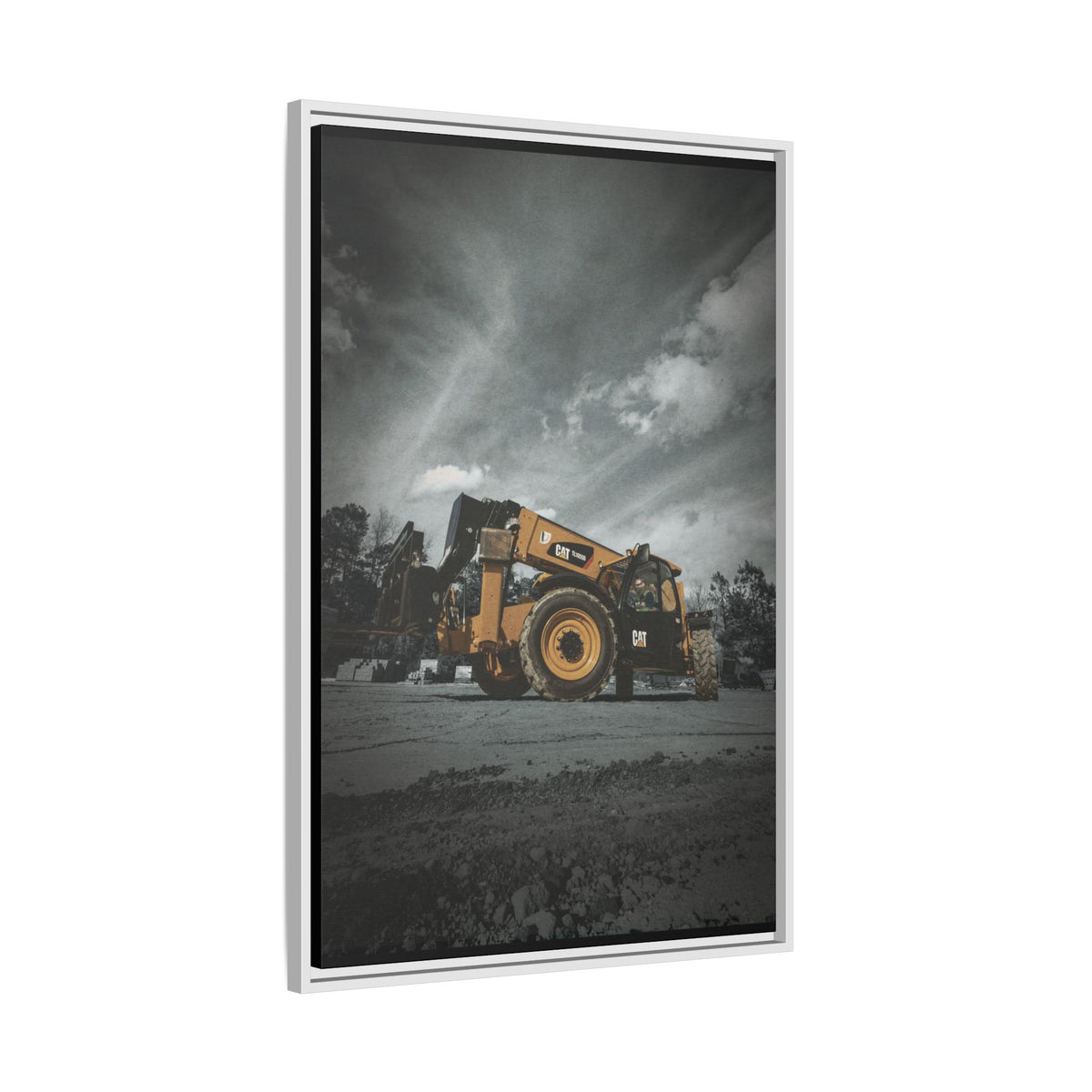 CAT TL1055D | Framed Wall Art on Stretched Canvas