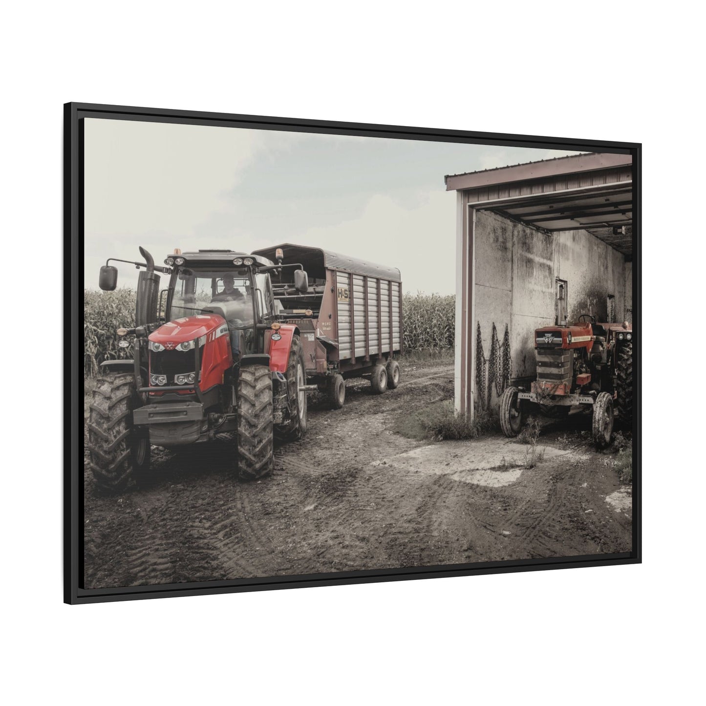 Massey Ferguson Legacy Photo Wall Art on Framed Canvas