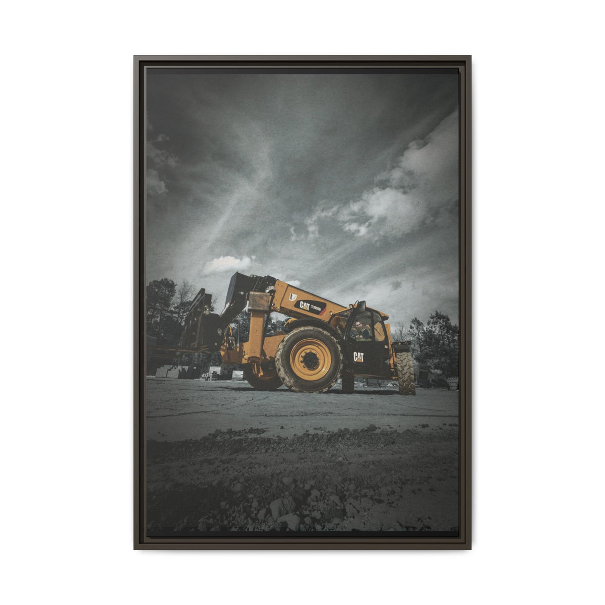 CAT TL1055D | Framed Wall Art on Stretched Canvas