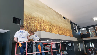 Corn Harvest Panoramic