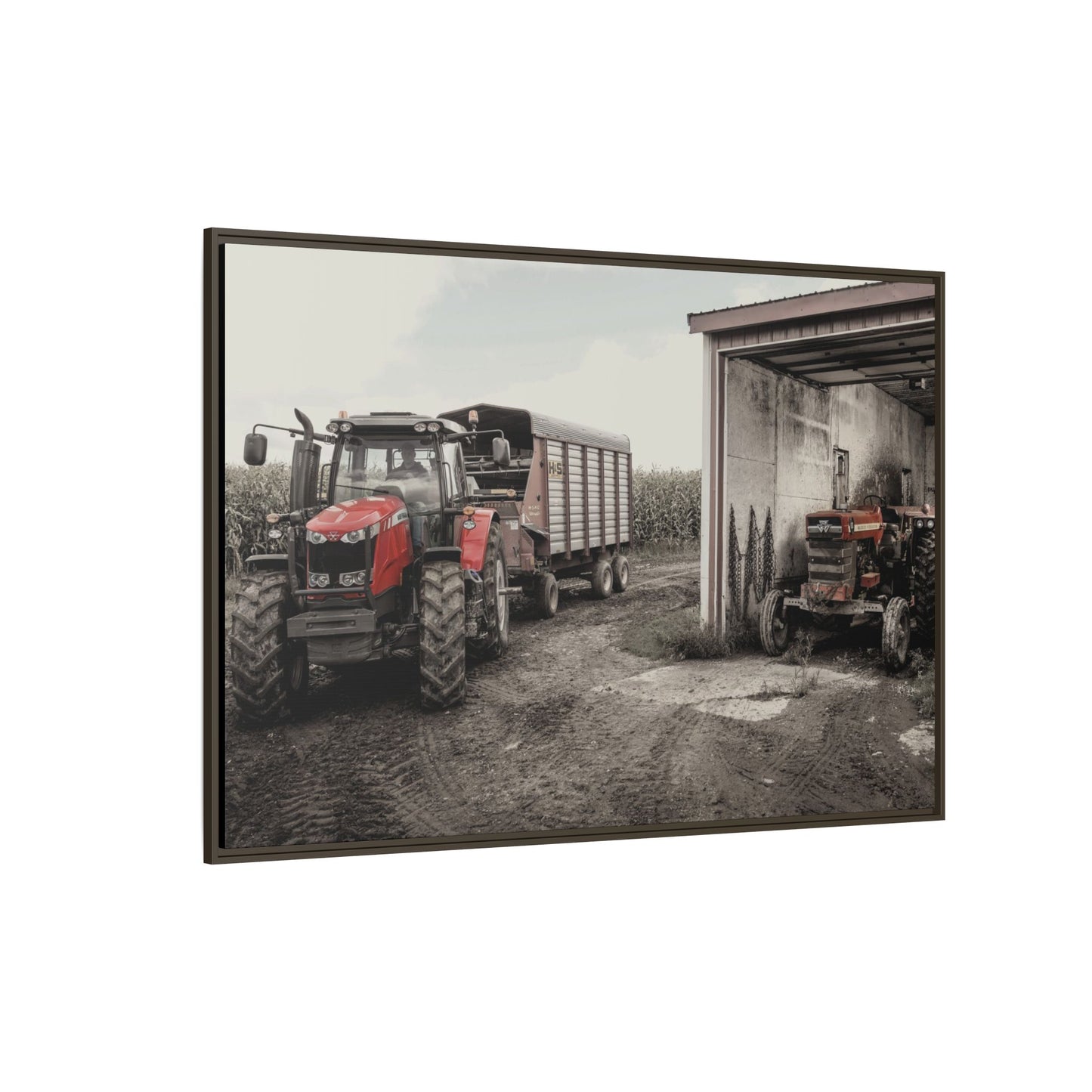 Massey Ferguson Legacy Photo Wall Art on Framed Canvas