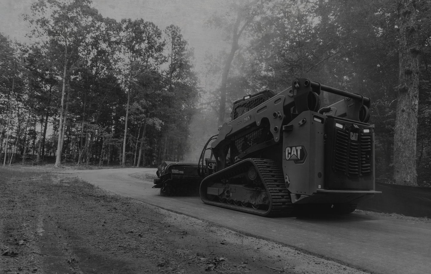 349 Skid Steer in Forest