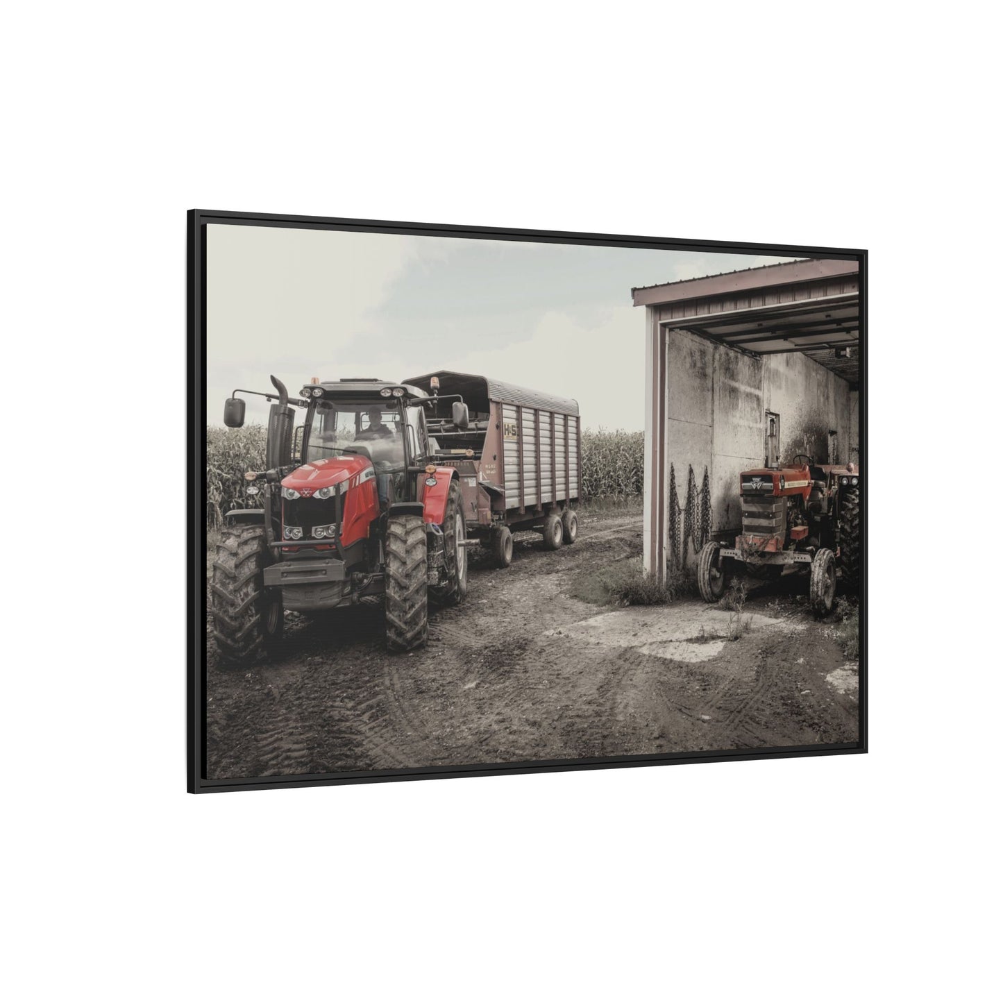 Massey Ferguson Legacy Photo Wall Art on Framed Canvas