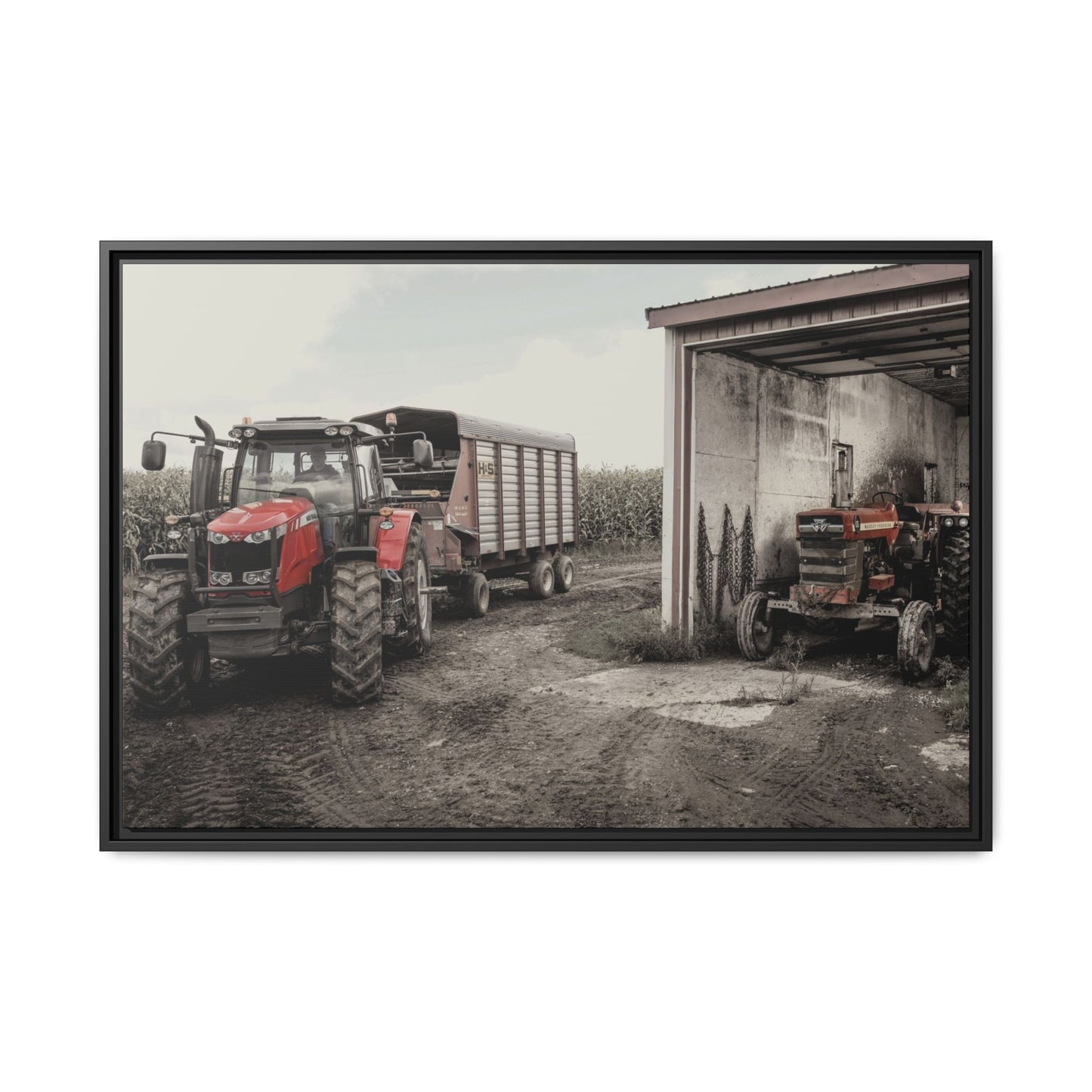 Massey Ferguson Legacy Photo Wall Art on Framed Canvas