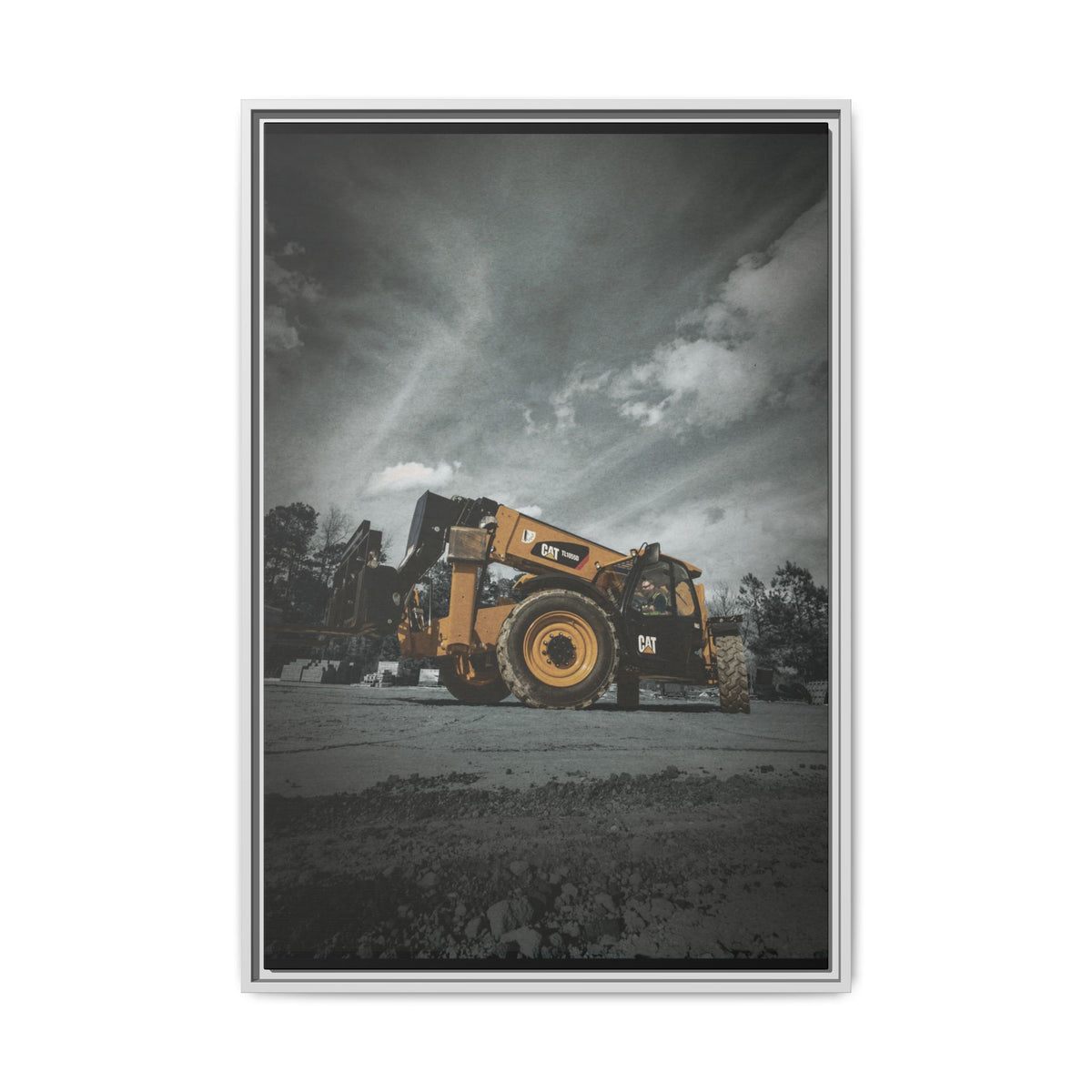 CAT TL1055D | Framed Wall Art on Stretched Canvas