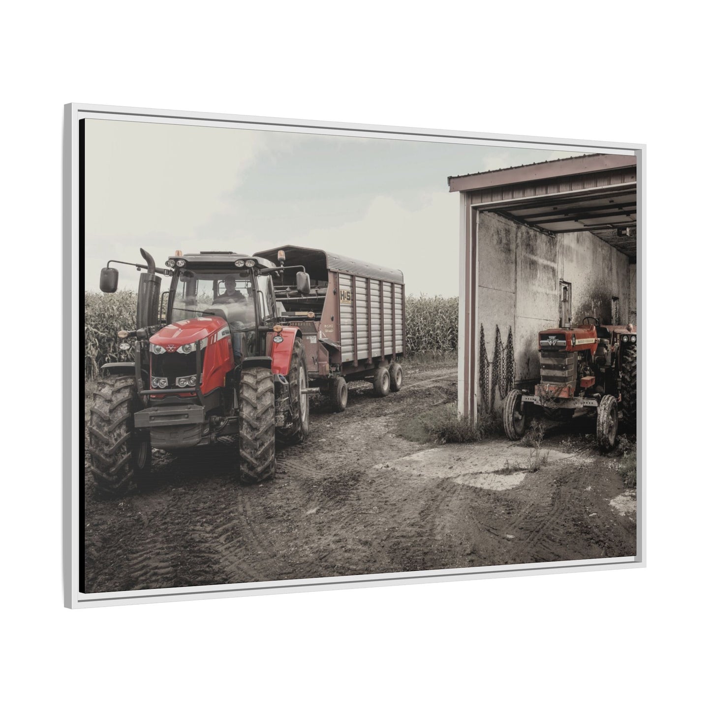 Massey Ferguson Legacy Photo Wall Art on Framed Canvas
