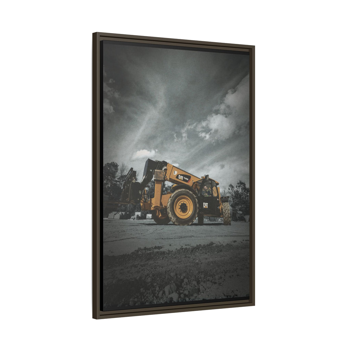 CAT TL1055D | Framed Wall Art on Stretched Canvas