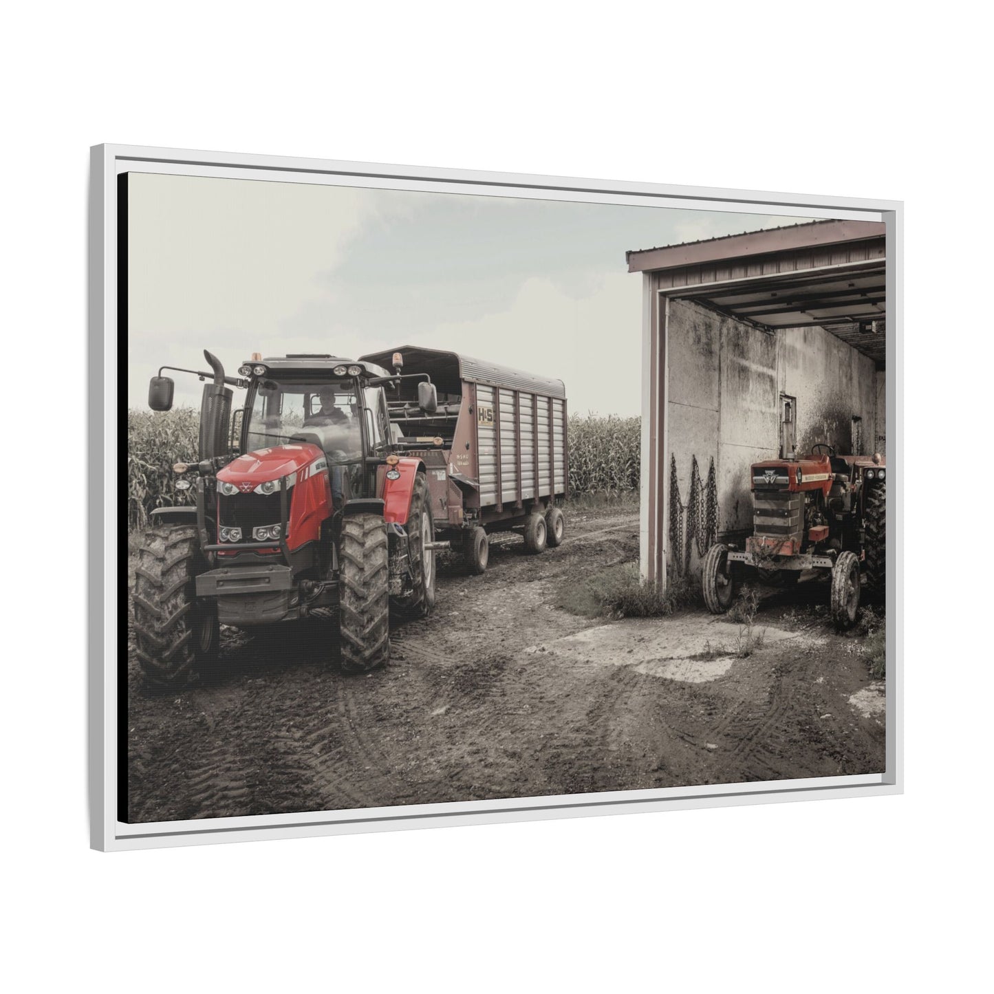 Massey Ferguson Legacy Photo Wall Art on Framed Canvas