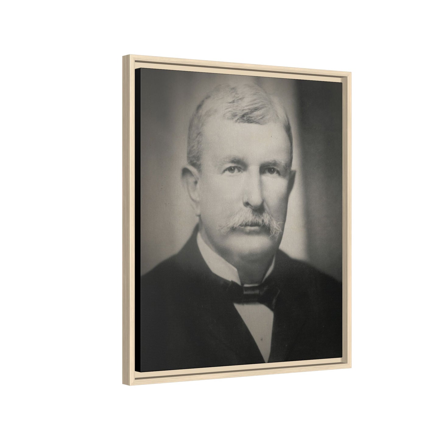 Benjamin Holt Framed Photo Art on Stretched Canvas