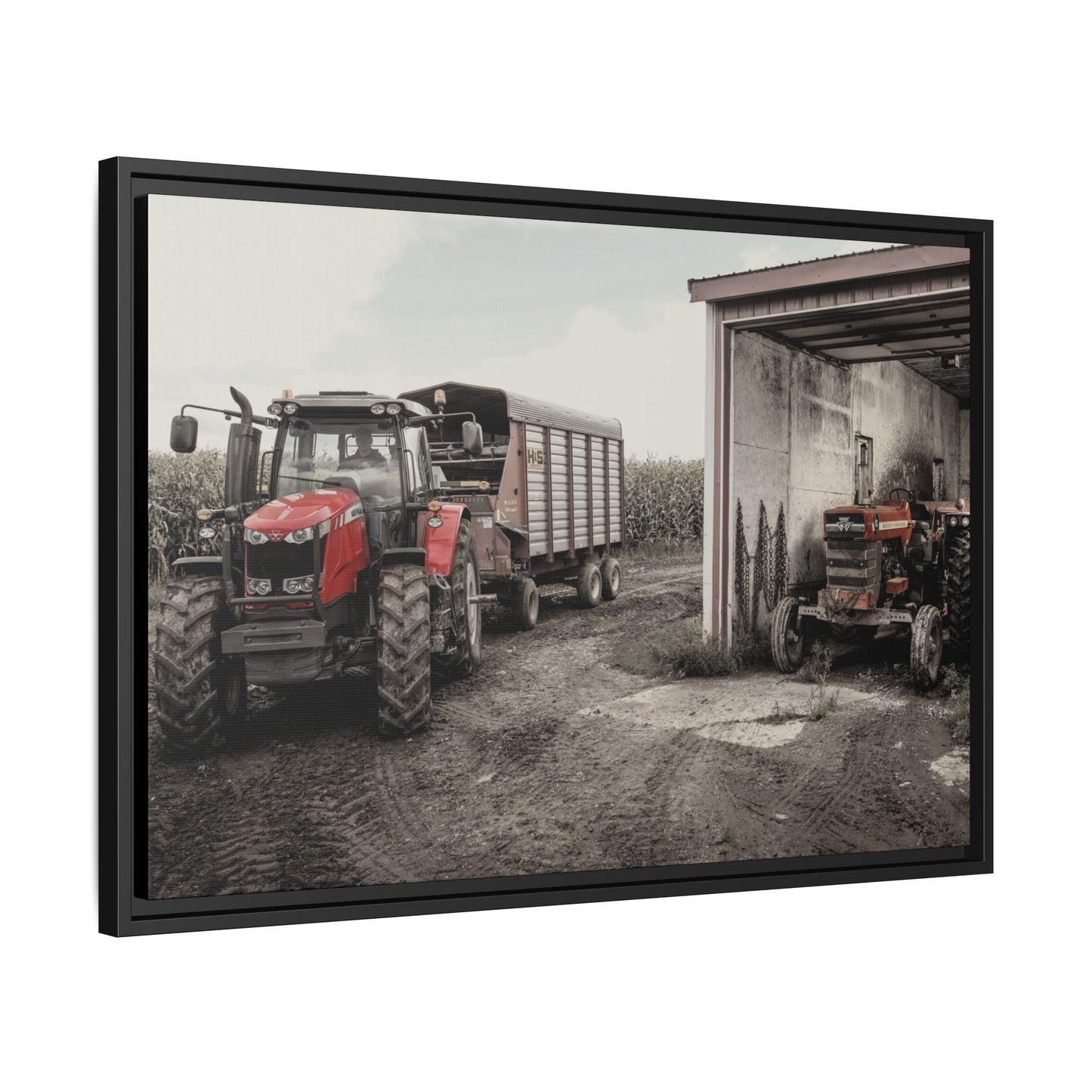 Massey Ferguson Legacy Photo Wall Art on Framed Canvas