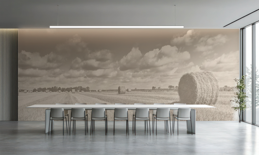 Panoramic Hay Bales 5298