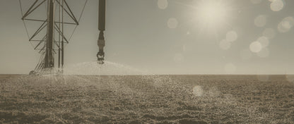 Pivot Irrigation I
