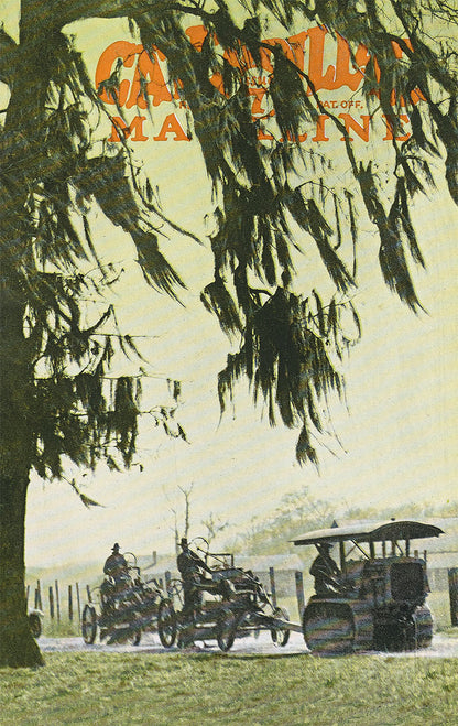 Caterpillar Magazine Wall Art – Complete Set – Issues 1-10 (set of 10)