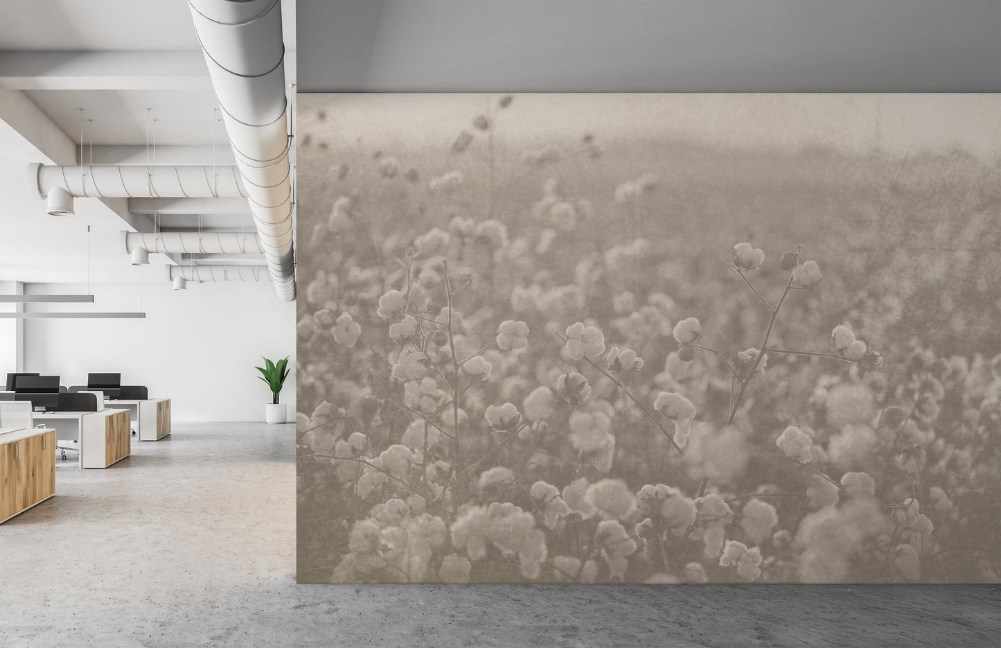 Dreamy Cotton Fields