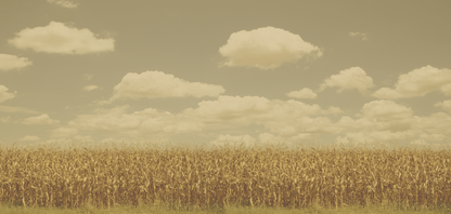 Harvest Panorama Triptych (set of 3)