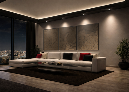 Topographic Triptych Graphic Framed Wall Art on Canvas