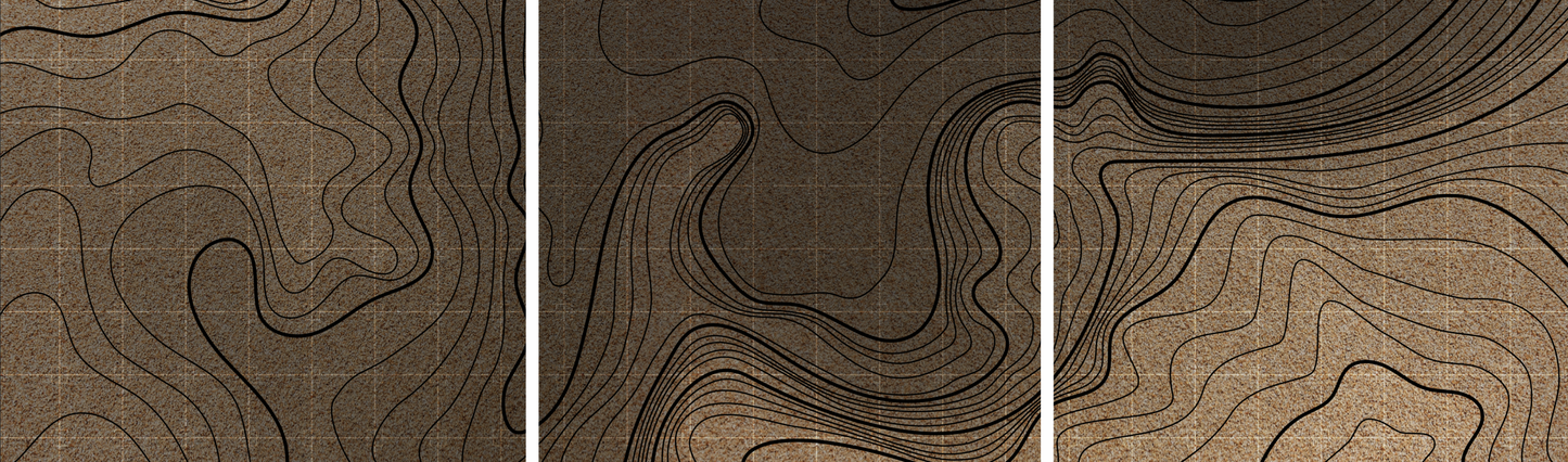 Topographic Triptych Graphic Framed Wall Art on Canvas