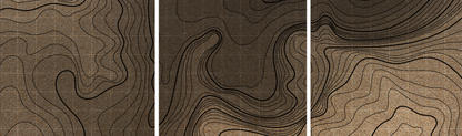 Topographic Triptych Graphic Framed Wall Art on Canvas