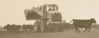 AG Handler 930M Mural