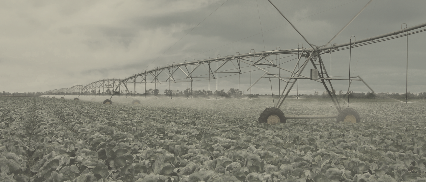 Pivot Irrigation II
