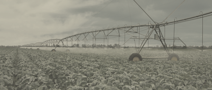 Pivot Irrigation II
