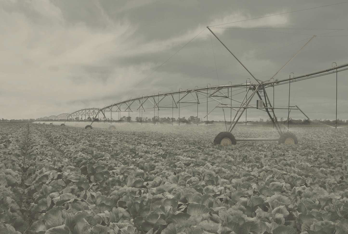 Pivot Irrigation II